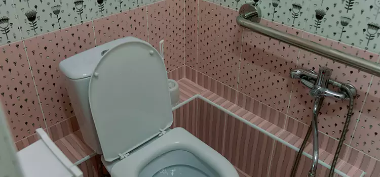 Meeting Diverse Needs With Accessible Restroom Solutions in North Amityville, NY