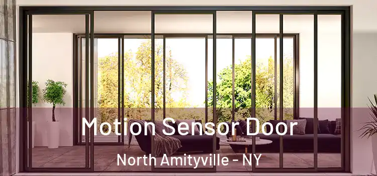 Motion Sensor Door North Amityville - NY